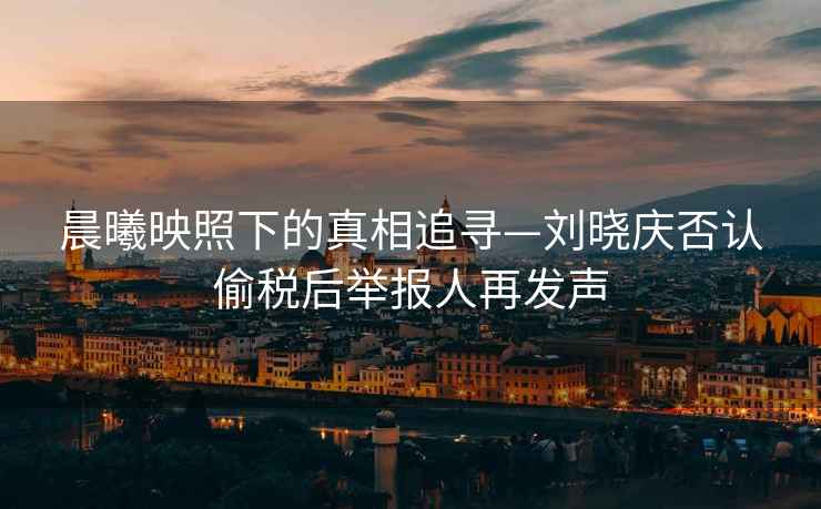晨曦映照下的真相追尋—劉曉慶否認偷稅后舉報人再發聲