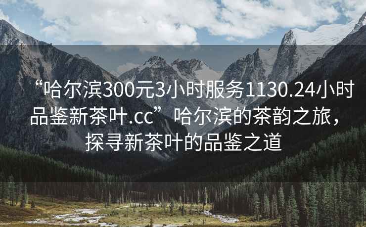 “哈爾濱300元3小時服務1130.24小時品鑒新茶葉.cc”哈爾濱的茶韻之旅，探尋新茶葉的品鑒之道