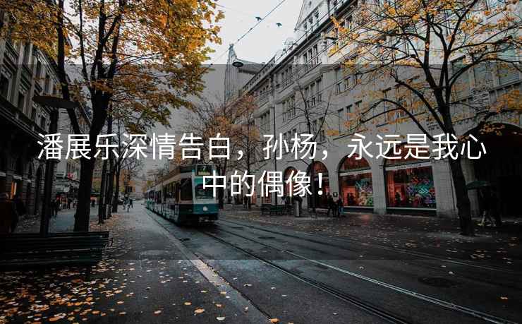 潘展樂深情告白，孫楊，永遠是我心中的偶像！
