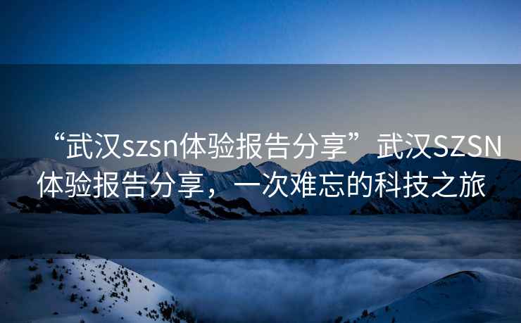 “武漢szsn體驗報告分享”武漢SZSN體驗報告分享，一次難忘的科技之旅