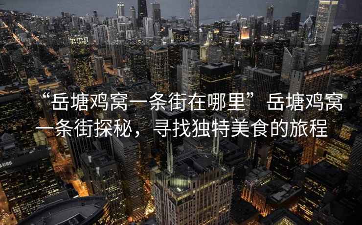 “岳塘雞窩一條街在哪里”岳塘雞窩一條街探秘，尋找獨特美食的旅程
