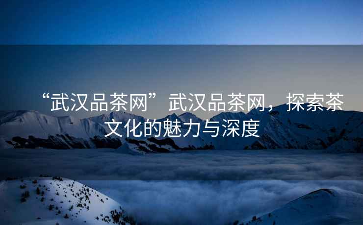 “武漢品茶網”武漢品茶網，探索茶文化的魅力與深度