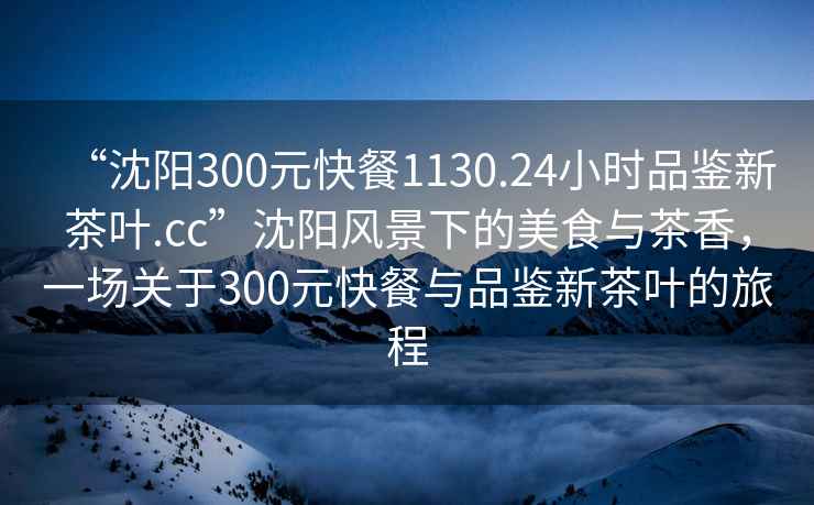 “沈陽300元快餐1130.24小時品鑒新茶葉.cc”沈陽風景下的美食與茶香，一場關于300元快餐與品鑒新茶葉的旅程
