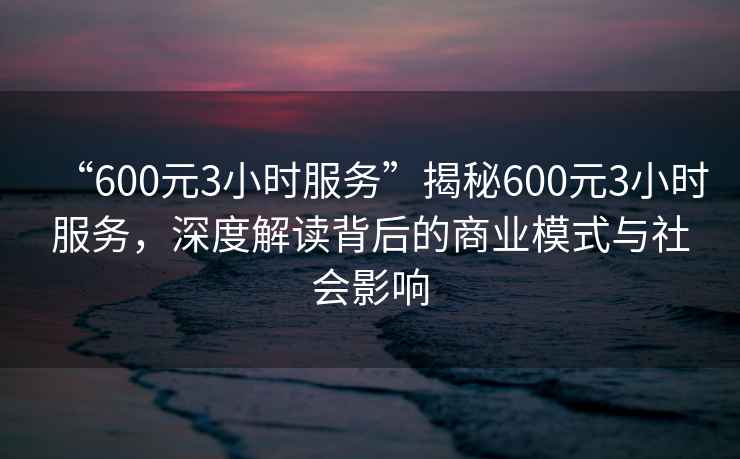 “600元3小時服務”揭秘600元3小時服務，深度解讀背后的商業模式與社會影響