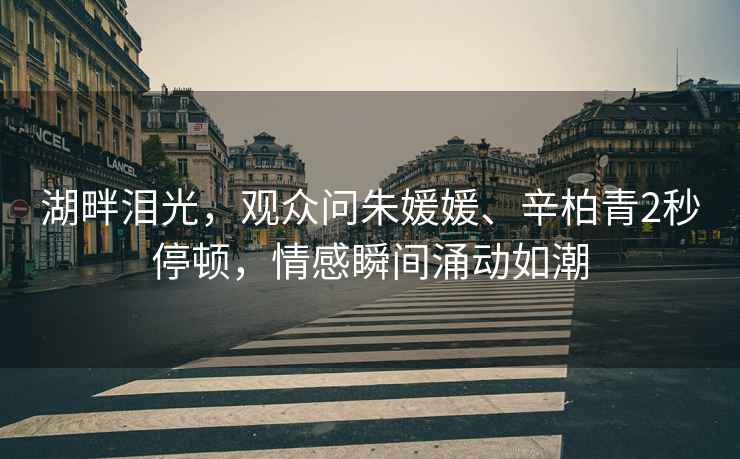 湖畔淚光，觀眾問朱媛媛、辛柏青2秒停頓，情感瞬間涌動如潮