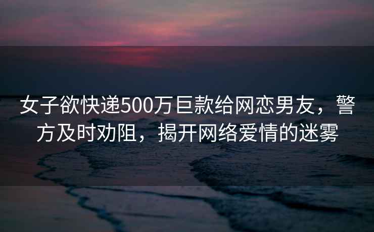 女子欲快遞500萬巨款給網(wǎng)戀男友，警方及時勸阻，揭開網(wǎng)絡愛情的迷霧