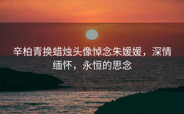 辛柏青換蠟燭頭像悼念朱媛媛，深情緬懷，永恒的思念