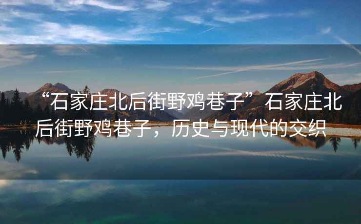 “石家莊北后街野雞巷子”石家莊北后街野雞巷子，歷史與現代的交織