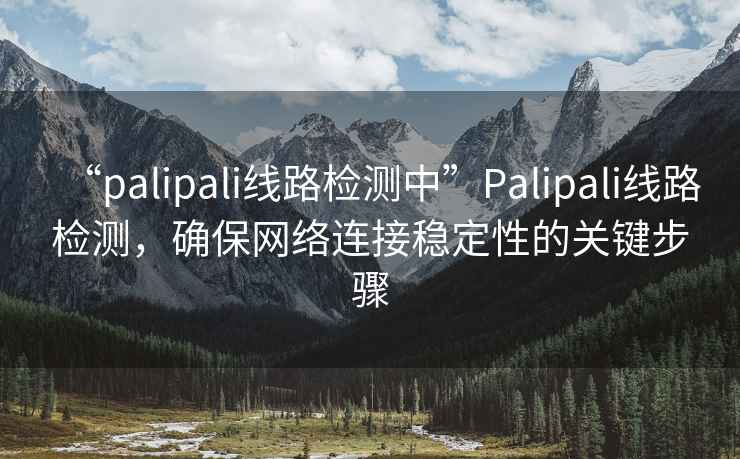 “palipali線路檢測中”Palipali線路檢測，確保網絡連接穩定性的關鍵步驟