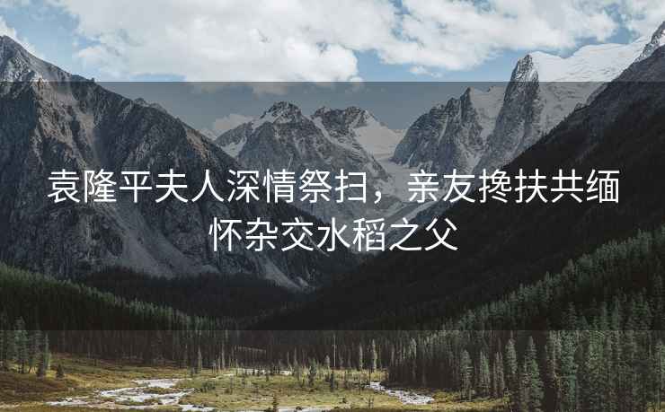 袁隆平夫人深情祭掃，親友攙扶共緬懷雜交水稻之父