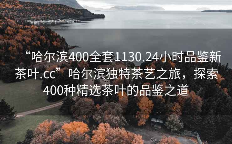 “哈爾濱400全套1130.24小時品鑒新茶葉.cc”哈爾濱獨特茶藝之旅，探索400種精選茶葉的品鑒之道