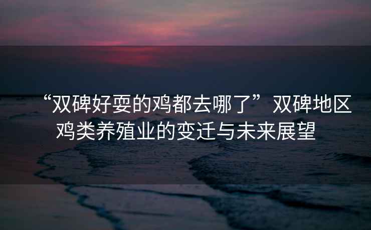 “雙碑好耍的雞都去哪了”雙碑地區雞類養殖業的變遷與未來展望