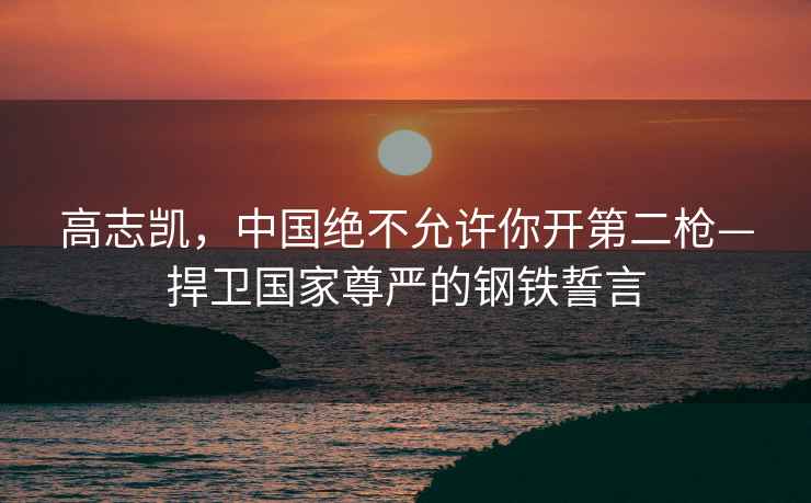 高志凱，中國絕不允許你開第二槍—捍衛國家尊嚴的鋼鐵誓言