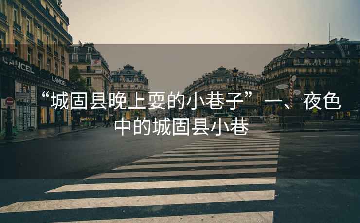 “城固縣晚上耍的小巷子”一、夜色中的城固縣小巷