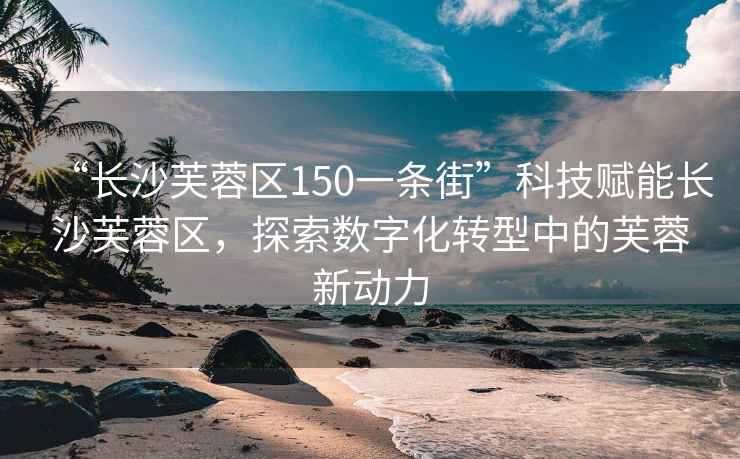 “長沙芙蓉區150一條街”科技賦能長沙芙蓉區，探索數字化轉型中的芙蓉新動力