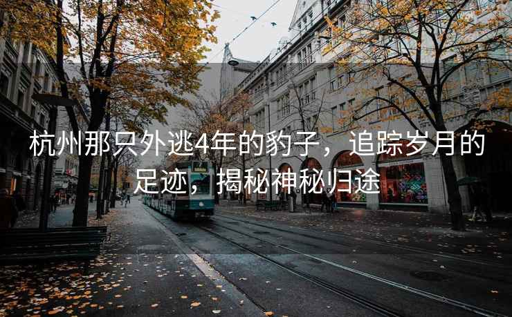 杭州那只外逃4年的豹子，追蹤歲月的足跡，揭秘神秘歸途