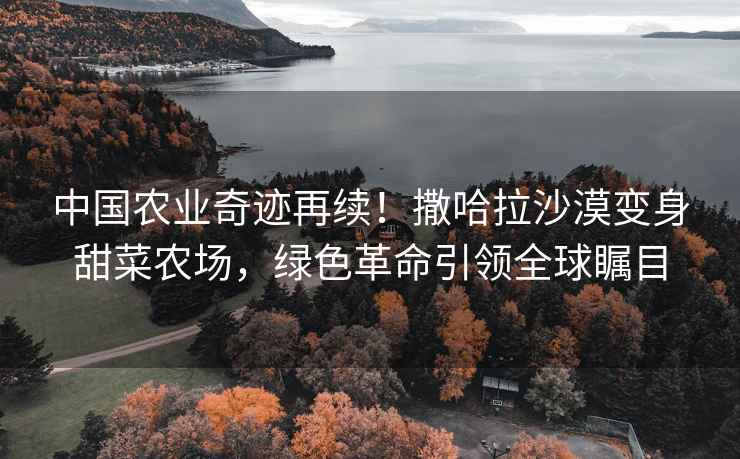 中國農業奇跡再續！撒哈拉沙漠變身甜菜農場，綠色革命引領全球矚目
