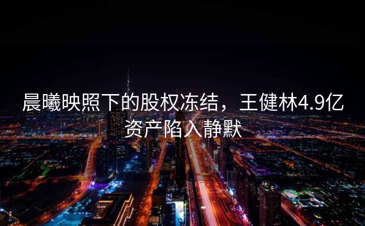 晨曦映照下的股權凍結，王健林4.9億資產(chǎn)陷入靜默