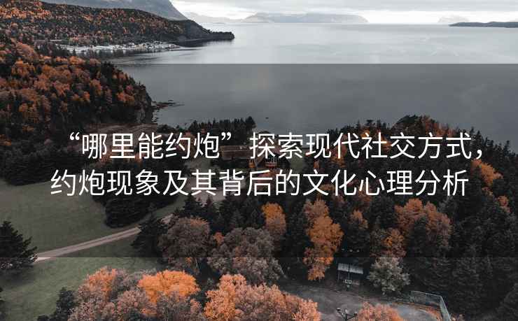 “哪里能約炮”探索現代社交方式，約炮現象及其背后的文化心理分析