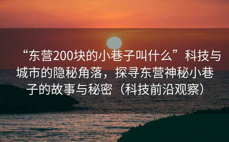 “東營200塊的小巷子叫什么”科技與城市的隱秘角落，探尋東營神秘小巷子的故事與秘密（科技前沿觀察）