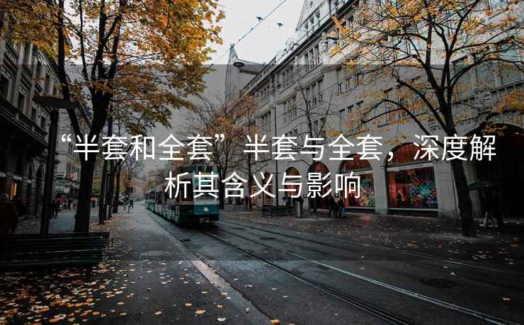 “半套和全套”半套與全套，深度解析其含義與影響