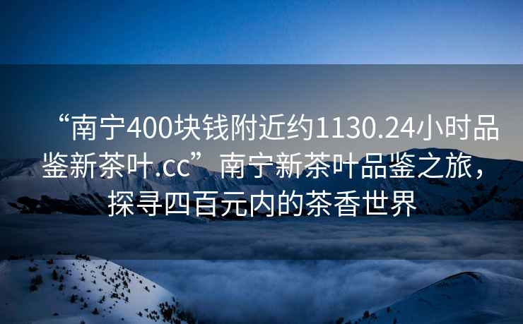 “南寧400塊錢附近約1130.24小時品鑒新茶葉.cc”南寧新茶葉品鑒之旅，探尋四百元內的茶香世界