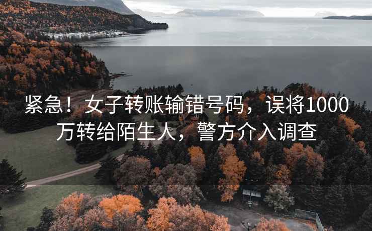 緊急！女子轉賬輸錯號碼，誤將1000萬轉給陌生人，警方介入調查