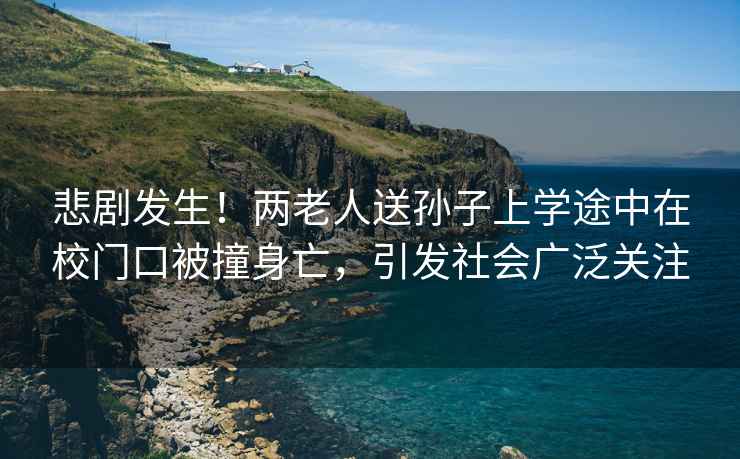 悲劇發生！兩老人送孫子上學途中在校門口被撞身亡，引發社會廣泛關注