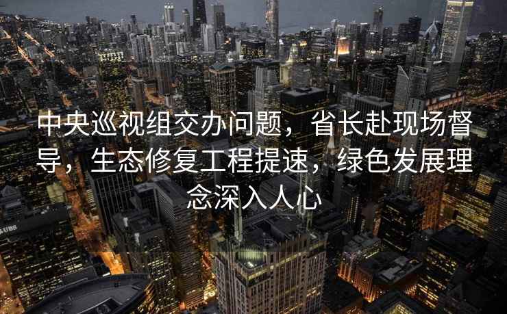 中央巡視組交辦問題，省長赴現場督導，生態修復工程提速，綠色發展理念深入人心