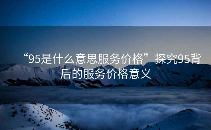 “95是什么意思服務價格”探究95背后的服務價格意義