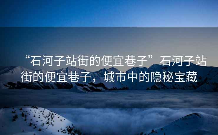 “石河子站街的便宜巷子”石河子站街的便宜巷子，城市中的隱秘寶藏