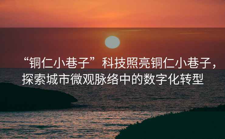 “銅仁小巷子”科技照亮銅仁小巷子，探索城市微觀脈絡中的數字化轉型