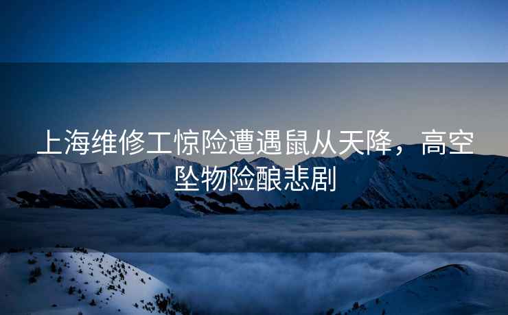 上海維修工驚險(xiǎn)遭遇鼠從天降，高空墜物險(xiǎn)釀悲劇