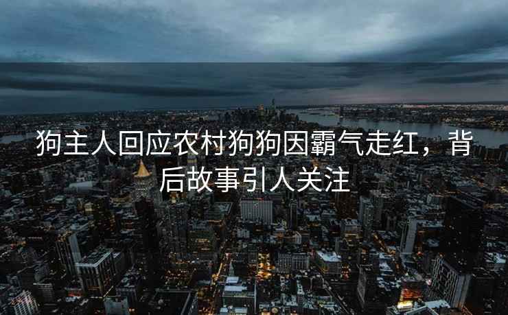 狗主人回應農(nóng)村狗狗因霸氣走紅，背后故事引人關注