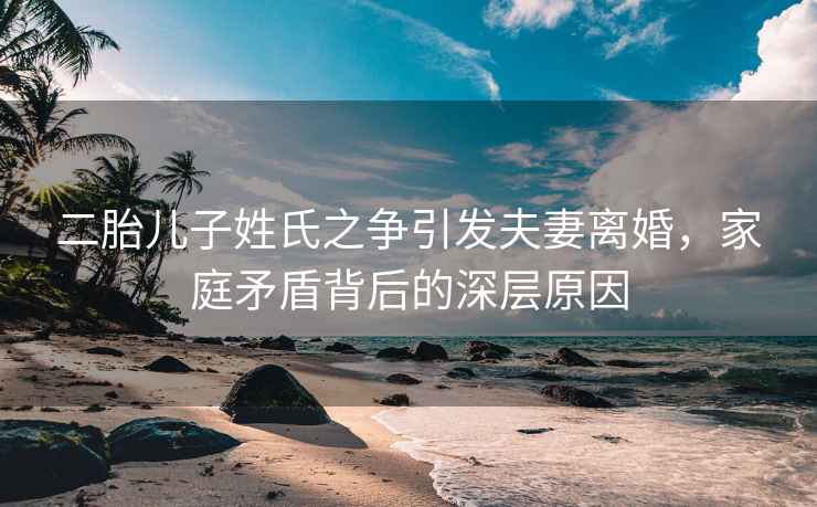 二胎兒子姓氏之爭引發夫妻離婚，家庭矛盾背后的深層原因