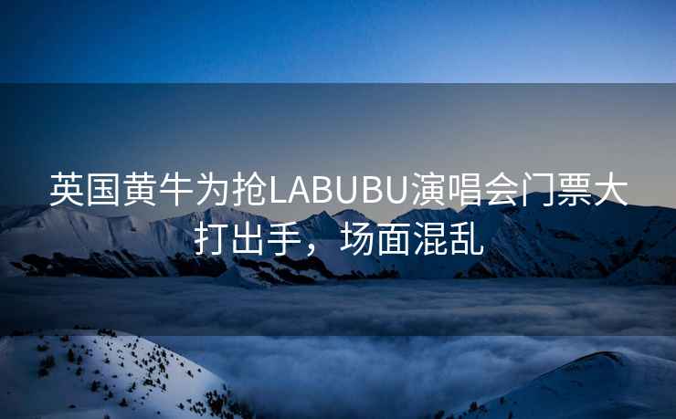 英國黃牛為搶LABUBU演唱會門票大打出手，場面混亂