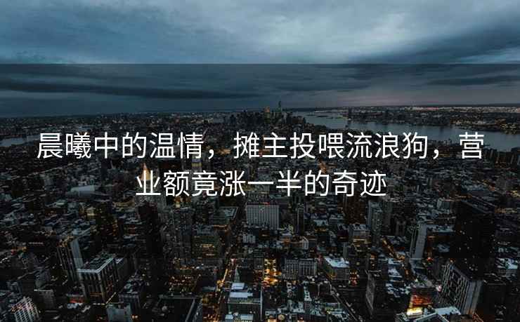 晨曦中的溫情，攤主投喂流浪狗，營業(yè)額竟?jié)q一半的奇跡
