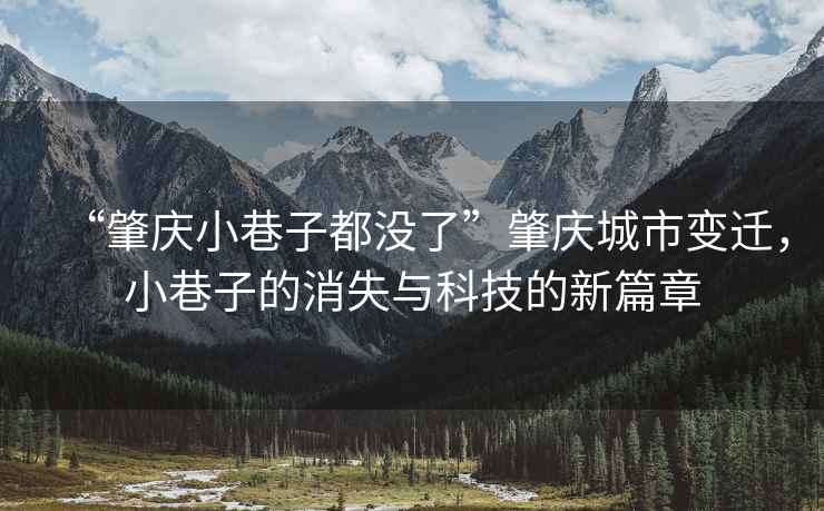 “肇慶小巷子都沒了”肇慶城市變遷，小巷子的消失與科技的新篇章