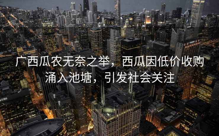 廣西瓜農無奈之舉，西瓜因低價收購涌入池塘，引發社會關注