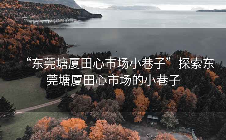 “東莞塘廈田心市場(chǎng)小巷子”探索東莞塘廈田心市場(chǎng)的小巷子