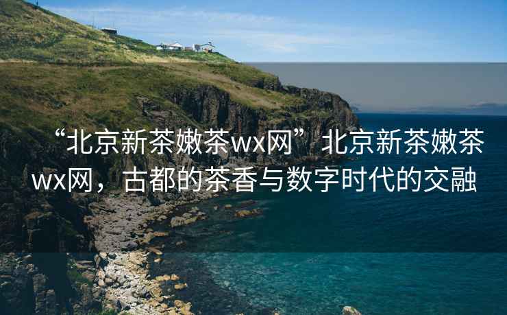 “北京新茶嫩茶wx網”北京新茶嫩茶wx網，古都的茶香與數字時代的交融
