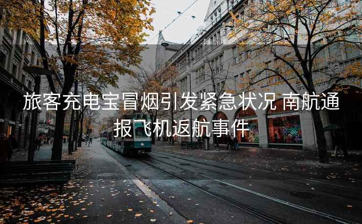 旅客充電寶冒煙引發緊急狀況 南航通報飛機返航事件