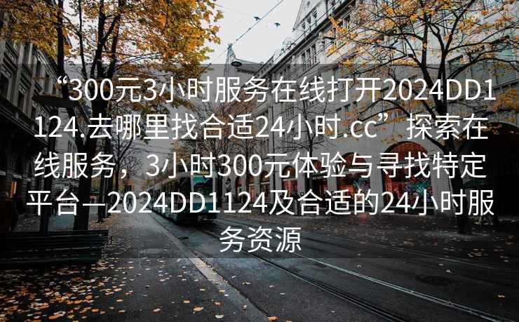 “300元3小時服務在線打開2024DD1124.去哪里找合適24小時.cc”探索在線服務，3小時300元體驗與尋找特定平臺—2024DD1124及合適的24小時服務資源