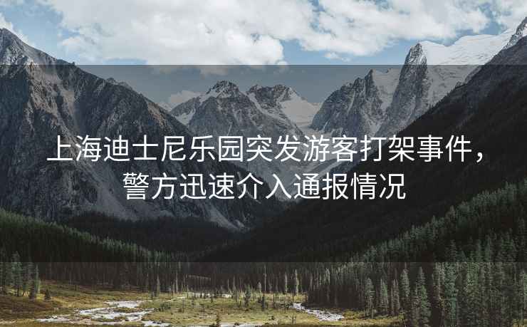 上海迪士尼樂園突發游客打架事件，警方迅速介入通報情況