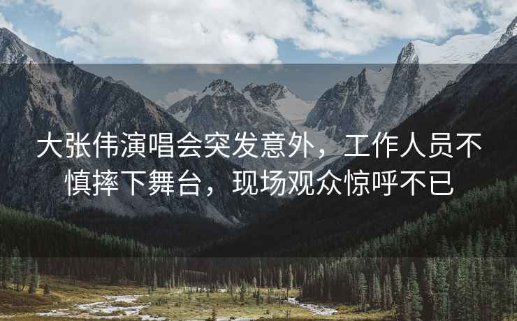 大張偉演唱會突發意外，工作人員不慎摔下舞臺，現場觀眾驚呼不已