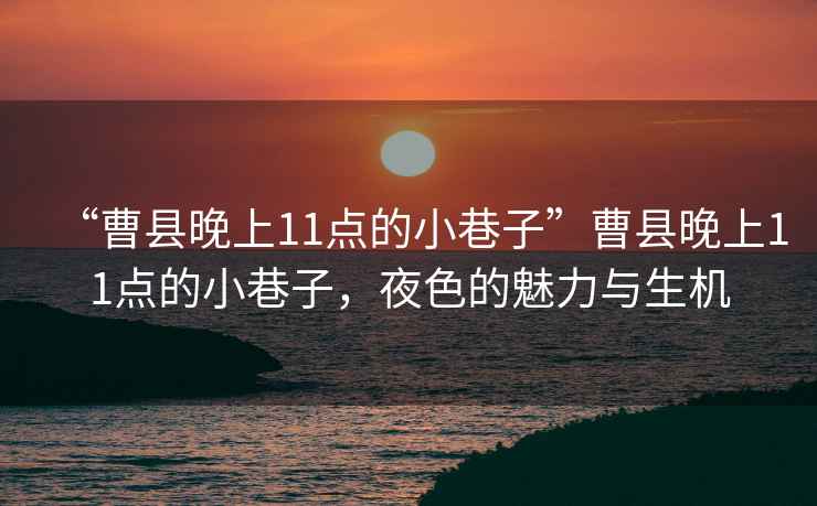 “曹縣晚上11點(diǎn)的小巷子”曹縣晚上11點(diǎn)的小巷子，夜色的魅力與生機(jī)
