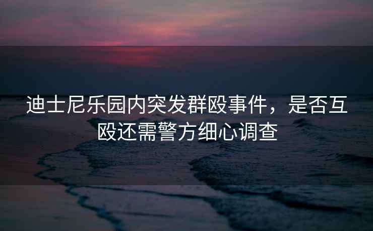 迪士尼樂(lè)園內(nèi)突發(fā)群毆事件，是否互毆還需警方細(xì)心調(diào)查
