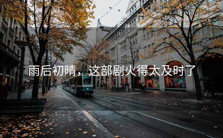 雨后初晴，這部劇火得太及時了