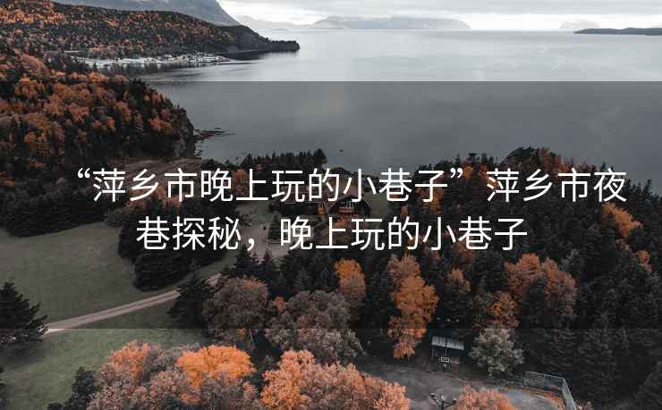 “萍鄉市晚上玩的小巷子”萍鄉市夜巷探秘，晚上玩的小巷子