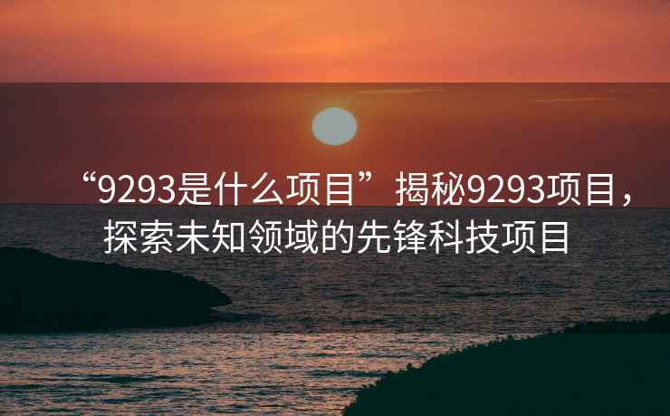 “9293是什么項目”揭秘9293項目，探索未知領域的先鋒科技項目